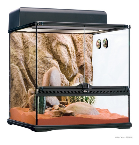 Kit Desierto Med Terrario Exo-terra 45x45x45 Reptiles