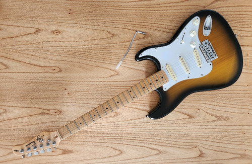Guitarra Eléctrica Jay Turser Modelo Jt-300m 