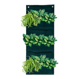 Modular 5 M. De Largo De Bolsa Grande Para Muro Verde Planta