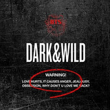 Cd - Bts 1st Album [dark And Wild]