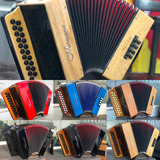 Acordeon 8 Baixos 8/21 Gaita De Botão Varias Cores Minuano