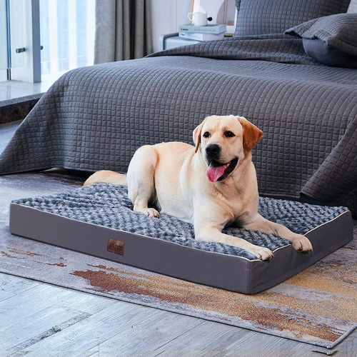 Cama Ortopédica Xxl Para Perros Medianos Y Grandes Espuma Y