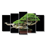 Quadro Decorativo Sala Bonsai Árvore Miniatura Japonês 5 Pçs