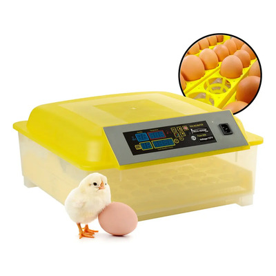 Incubadora 48 Huevos Pollos Y Aves Con Giro Automatico | Envío gratis