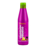 Salerm Straightening Shampoo C/250ml / Special Liss