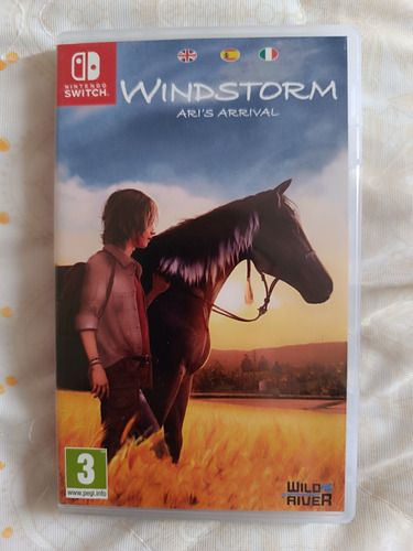 Windstorm - Aris Arrival Nintendo Switch 