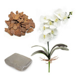 Kit 2 Orquideas Branca E Folhas Artificiais, Argila E Cascas