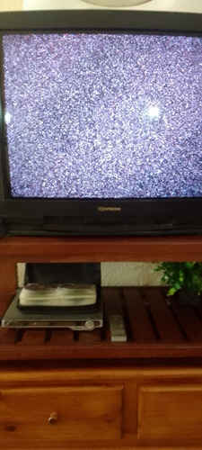 Televisor Hitachi 29 Pulgadas Con Dvd Bgh Y Aprox 70 Cd