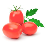 Semillas De Tomate Pera Rio Grande Prosperidad