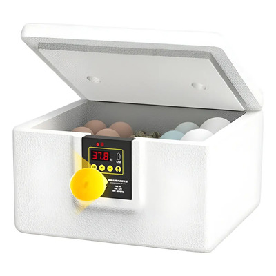 Incubadora De Huevos Avícola Pequeña 24h Termostática /