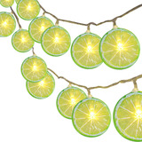 Cadena De Luces Decorativas Fruit Slice Star Net Red Light I