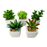 Kit 5 Plantas Mini Suculentas Artificiais Mais Vaso Cerâmica