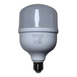 Lampara Led Galponera Depósito 30w Fria E27