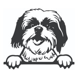 Calco Perro Shih Tzu Vinilo Auto Motos Termos Notebook