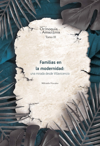Familias En La Modernidad Una Mirada Desde Villavicencio  Or