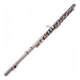 Flauta Transversal Silvertone Plateada Con Estuche Slft001 Color Plateado