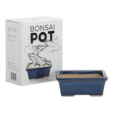 Maceta De Bonsai De Cerámica Esmaltada - Maceta Decorativa P