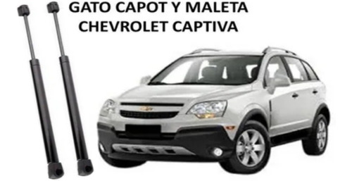 Amortiguador Gato Capot Chevrolet Captiva Sport 2007 - 2015 Foto 5