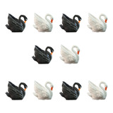 Kit 10 Mini Cisne Negro Branco Maquete Mini Mundos Terrário