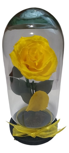 Rosa Natural Encapsulada Eterna Flor Preservada Dura Años 