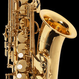 Saxofone Alto Eb Michael Wasm30 / Linha Essence