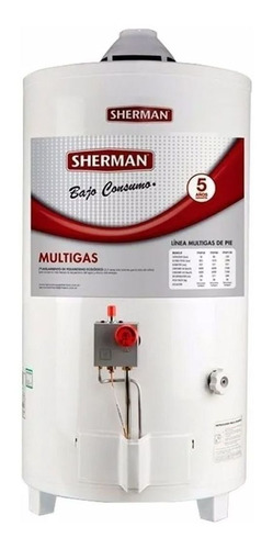 Termotanque Multigas Bajo Consumo Sherman 50 Litros Ahora12