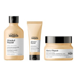 Loreal Expert Absolut Repair Champú Acondicionador Máscara