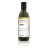 Shampoo Anticaspa Botanika 350ml