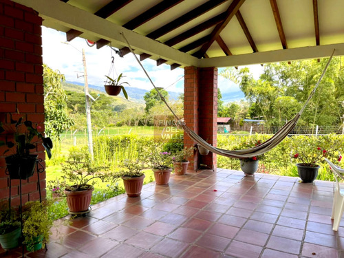 El Carmen, 6.300 M2, Finca En Venta - Imagen 3