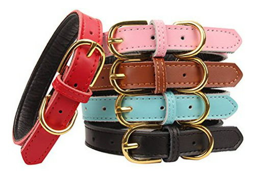 Collar Acolchado De Piel Para Gatos Y Perros Pequeños