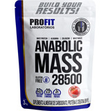 Suplemento Em Pó Profit Laboratórios  Anabolic Mass 28500 Proteínas Anabolic Mass 28500 Sabor  Chocolate Em Sachê De 3kg