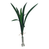 Folhagem De Orquídeas Silicone C/raiz 10 Folhas Longas Flor