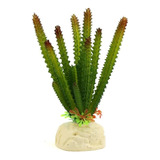Uxcell Cactus Planta Decoración Terrario Hábitat De Reptil