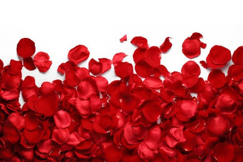 4.000 Pétalas Vermelha De Rosas Artificiais Casamento Noivas