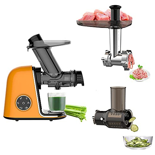 Qisebin Slow Juicer Masticating Juicer Machine, Juicers Frut