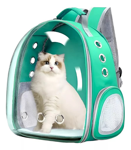 Bolso Canil Gato Mochila Transportadora Roro Gato Mascotas Perros Verde Agua Cosas Para Gatos Mascotas Mochilas Para Perros Pequeños