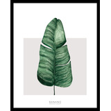 Cuadro Nordico Hojas Monstera Botanica Moderno 