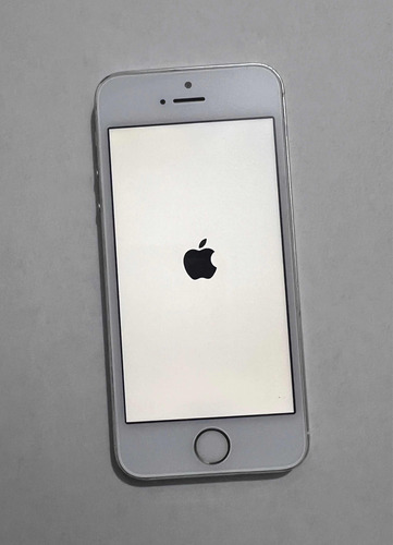 Apple iPhone 5s En Muy Buen Estado Libre Icloud