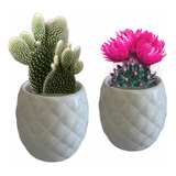 Maceta Minimalista Cactus Suculentas Modelo Piña Set De 2
