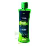 Shampoo Caballo Minoxidil Herbal Romero Hemp Anticaida /sa