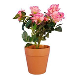 Rosal Bonsai Artificial