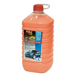 Cera Tratamiento Brillo Ptfe Proteccion Pintura Full Car X5l