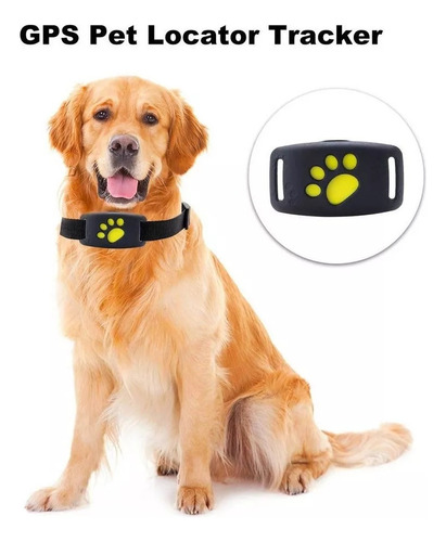 Rastreador De Localizador De Mascotas Gps Impermeable Dispos