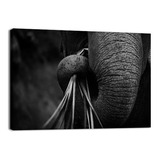 Cuadro Decorativo Animales Canvas Lienzo Elefante Roaming