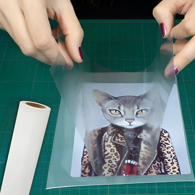 Película Transfer Vinilo Transparente Colortex 0.5x10 M Para Textiles