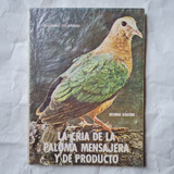 Cria De La Paloma Mensajera - Guarro Vilarnau - Albatros #