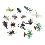 Modelo De Insecto En Miniatura