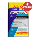 Vital Can Balanced Adult Mediano X 20 Kg - Envio Gratis Zn