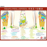 Mapa Reflexologia Podal - Terapia Podal Japonesa A4 Colorido