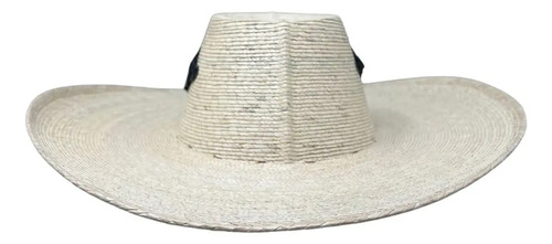 Sombrero Tlapehuala Calentano Economico | Meses sin interés